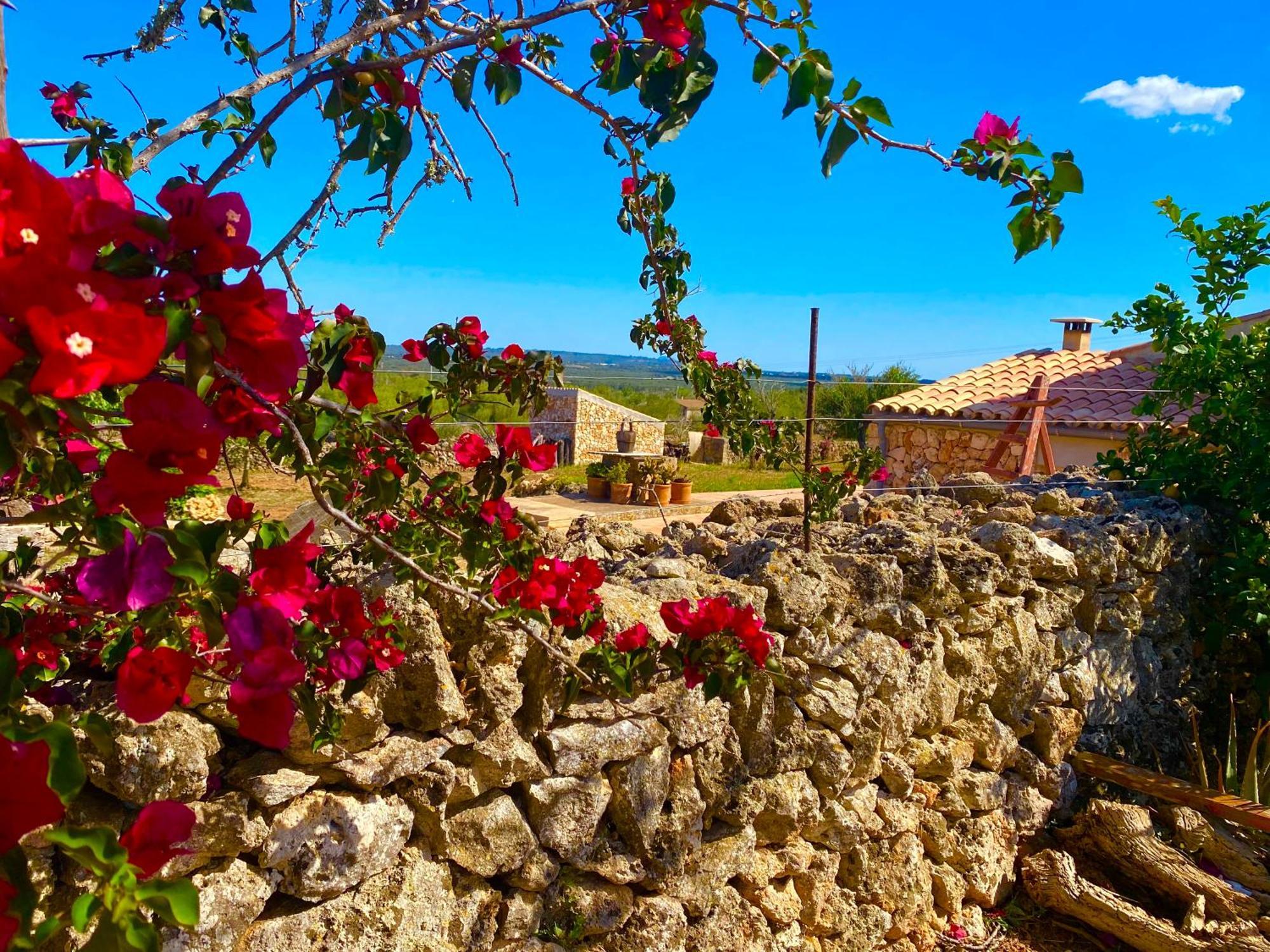 Landhuis Susacasa Relax Rural Con Sol Piscina Y Amplitud En Mallorca